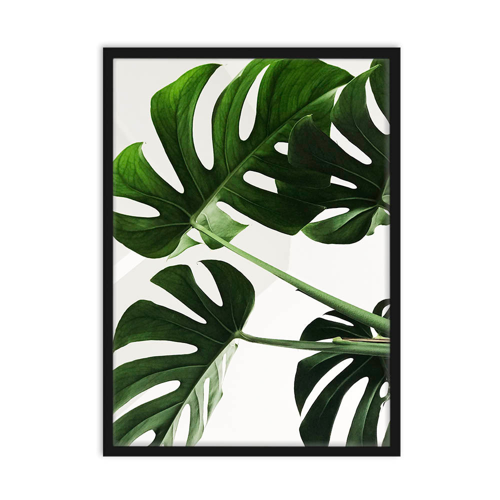 Tropical Leaves Poster