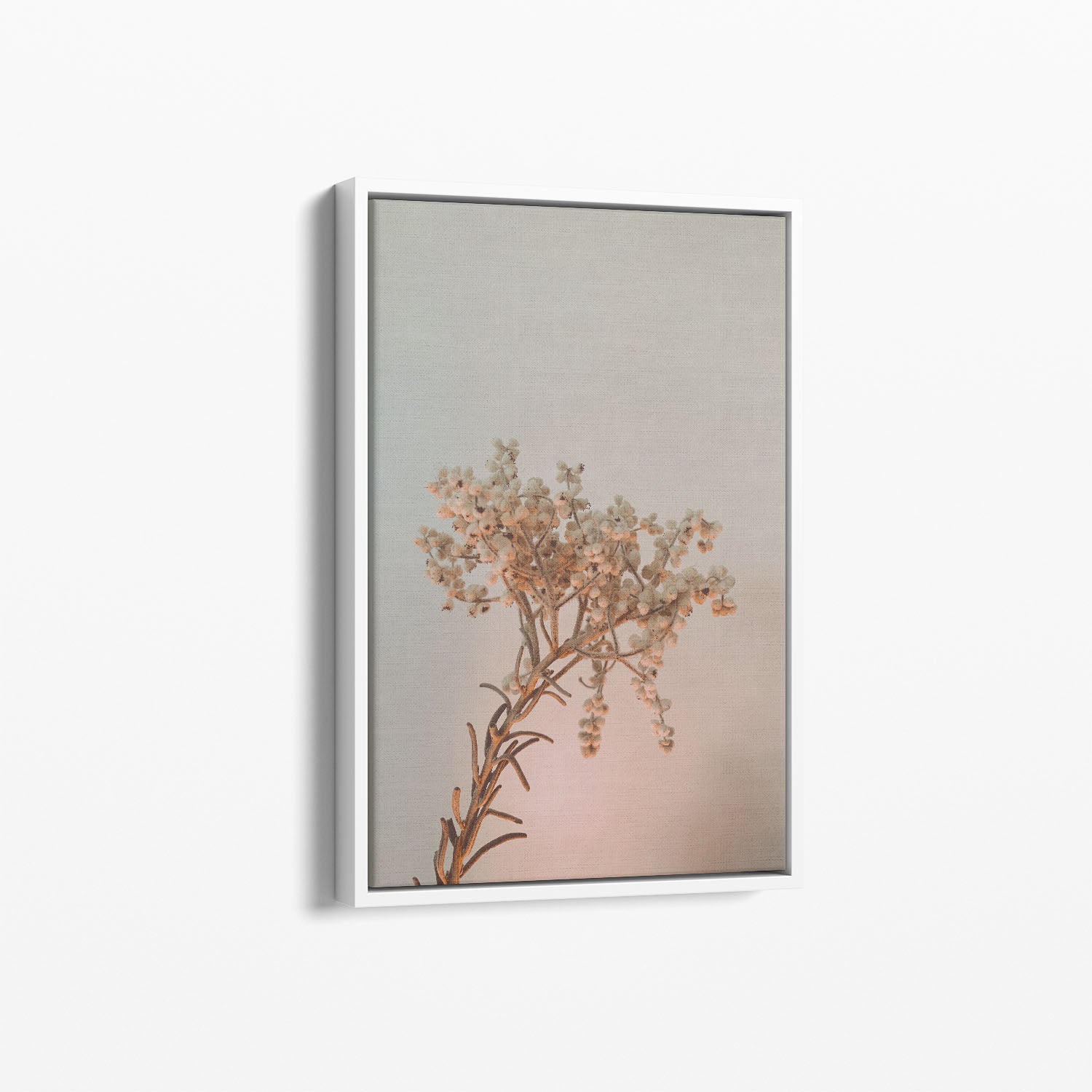 Ephemeral Elegance Canvas