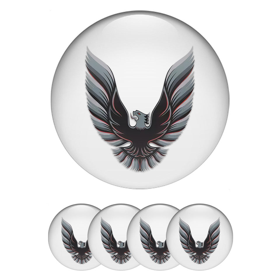 PONTIAC Domed Emblems for Center Caps