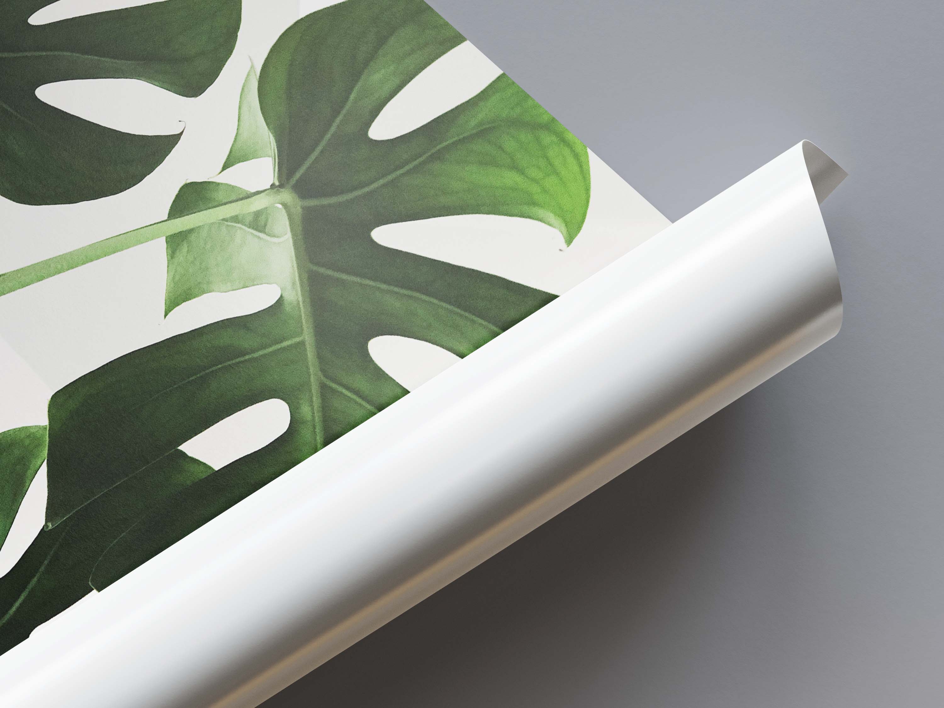 Tropical Leaves Poster