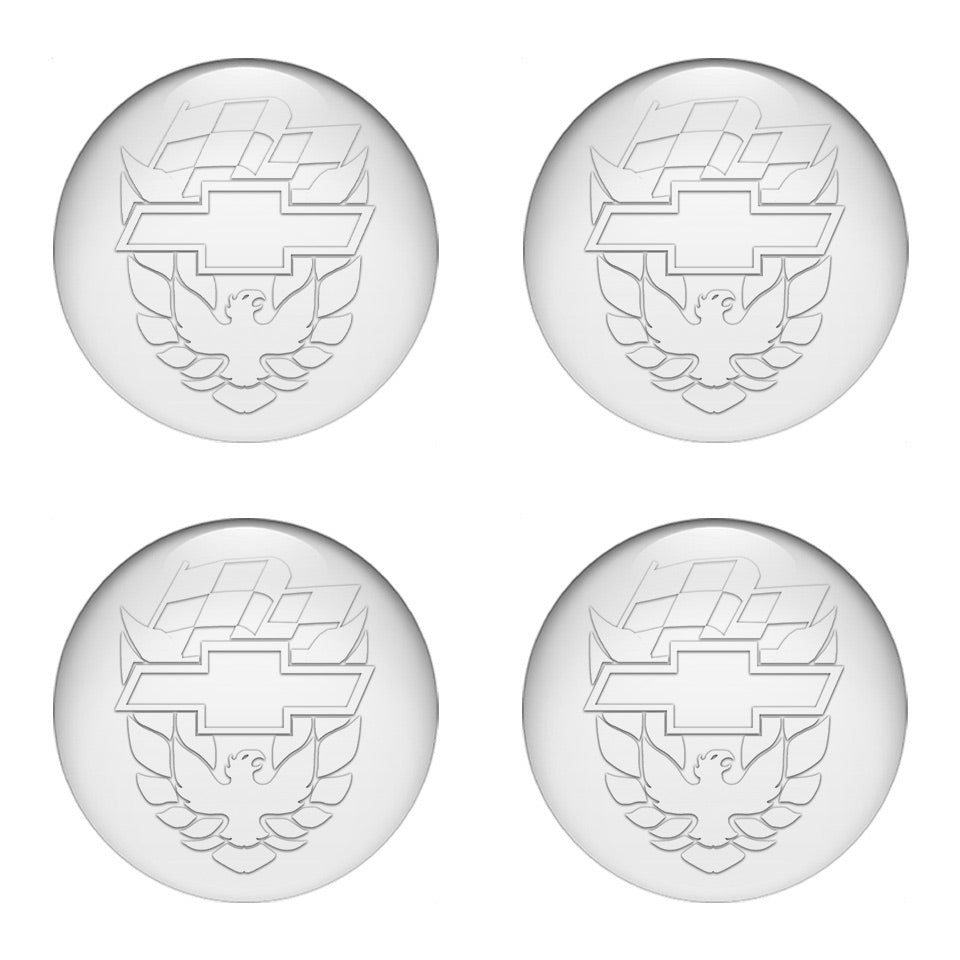 PONTIAC Domed Emblems for Center Caps9